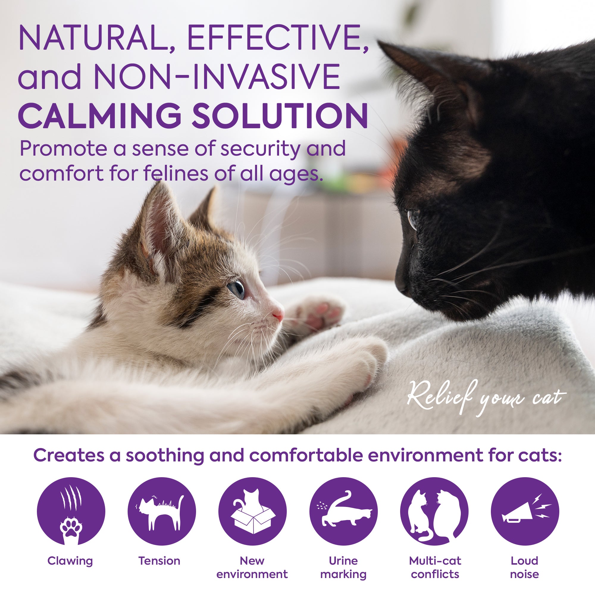Cat Pheromones Calming Diffuser: Premium Pheromone Diffuser for Cats - Cat Pheromones Diffuser - Cat Calming Diffuser - Cat Calming Pheromone Diffuser, 2 Pack (Purple)