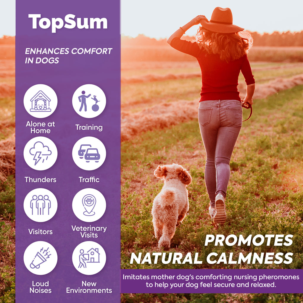 TopSum