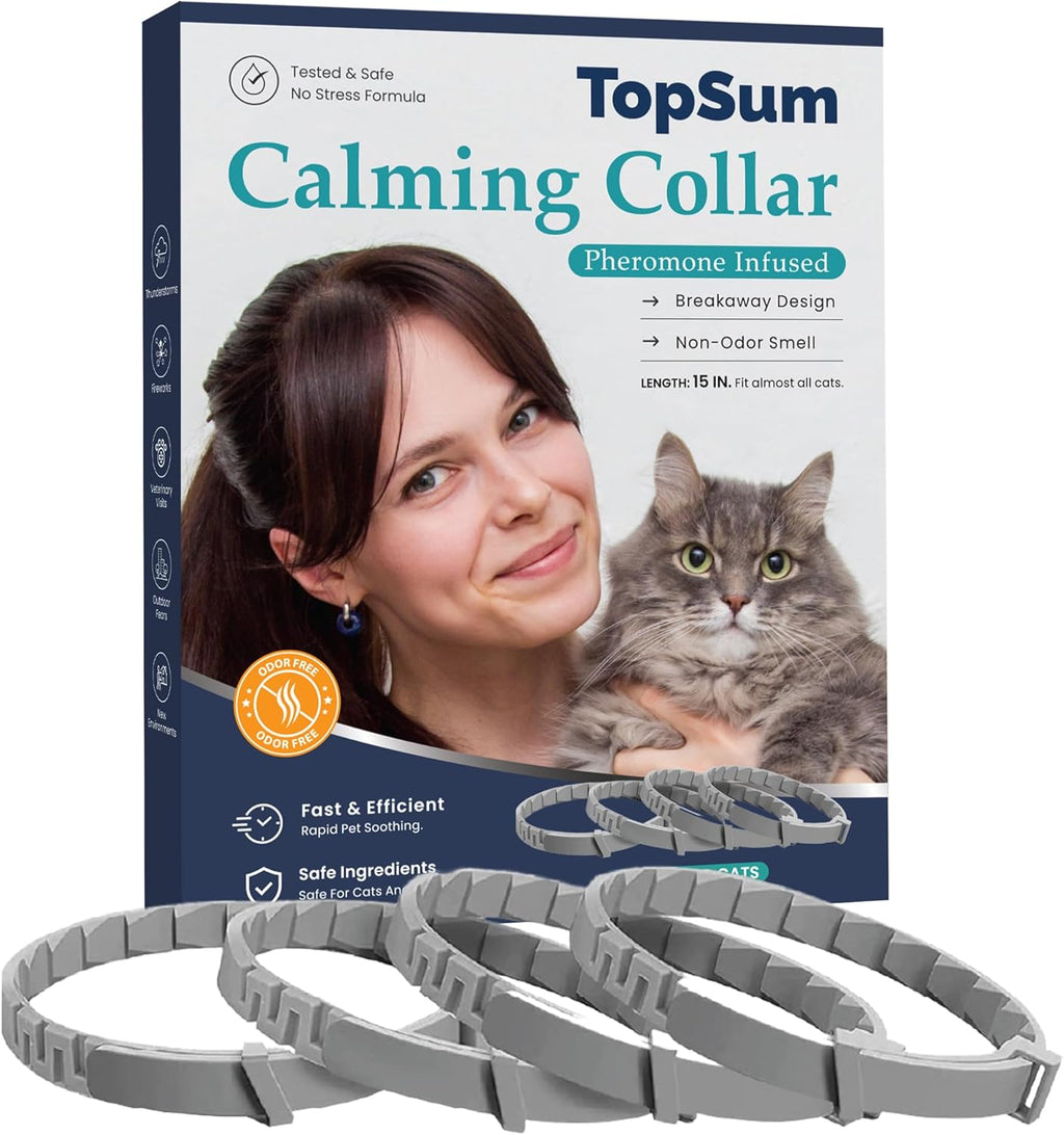 TopSum