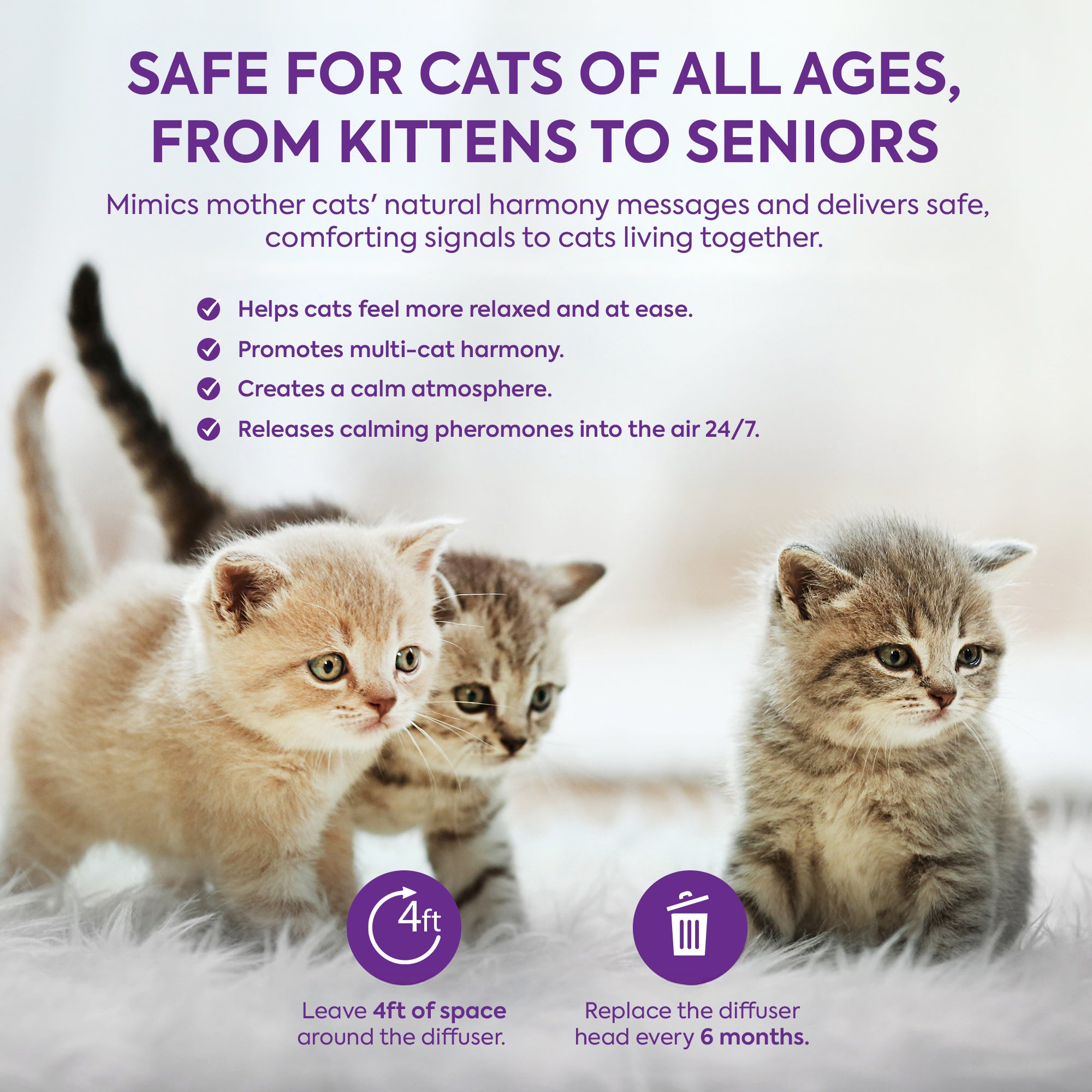 Cat Pheromones Calming Diffuser: Premium Pheromone Diffuser for Cats - Cat Pheromones Diffuser - Cat Calming Diffuser - Cat Calming Pheromone Diffuser, 2 Pack (Purple)