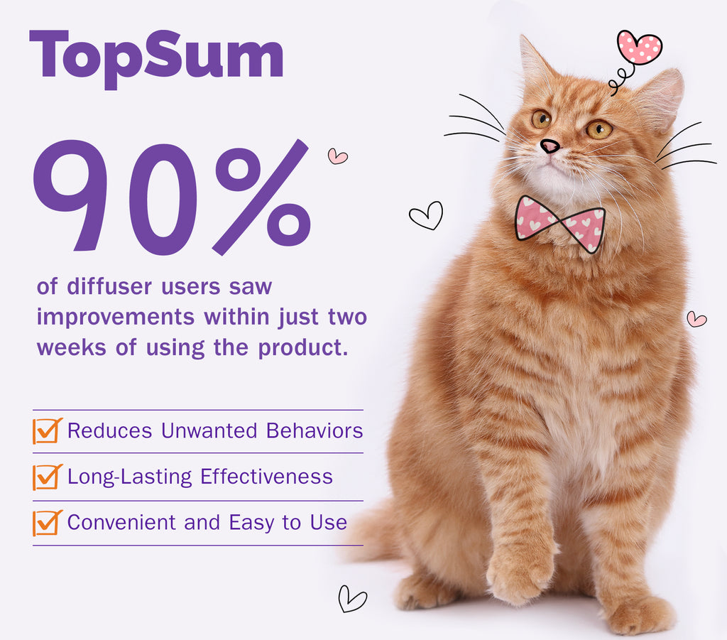 TopSum