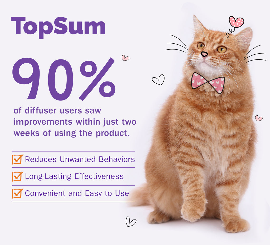 TopSum