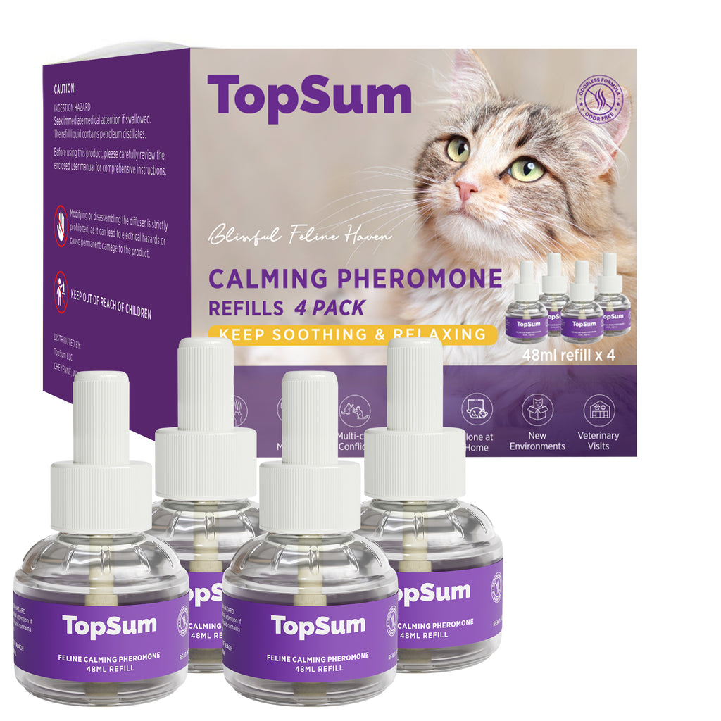 TopSum