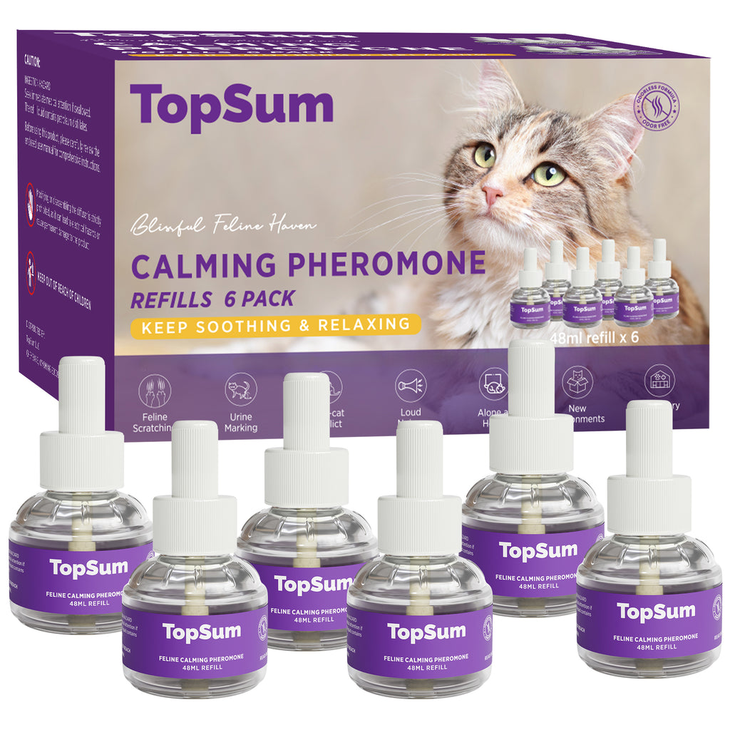 TopSum