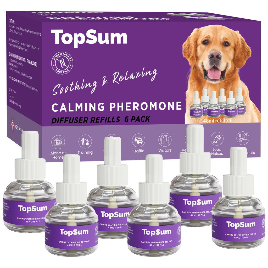 TopSum